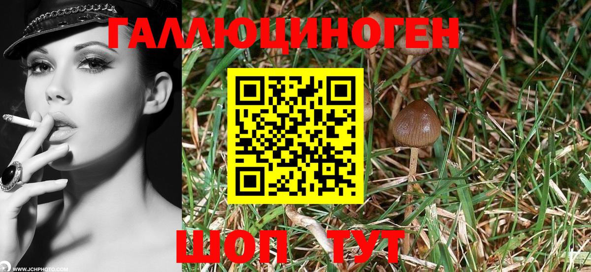 магазин продажи   Галлюциногенные грибы GOLDEN TEACHER  Галлюциногенные грибы Psilocybe  Вход с VPN  Заинск 