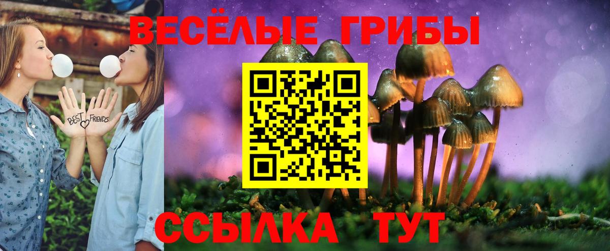 Псилоцибиновые грибы GOLDEN TEACHER Заинск